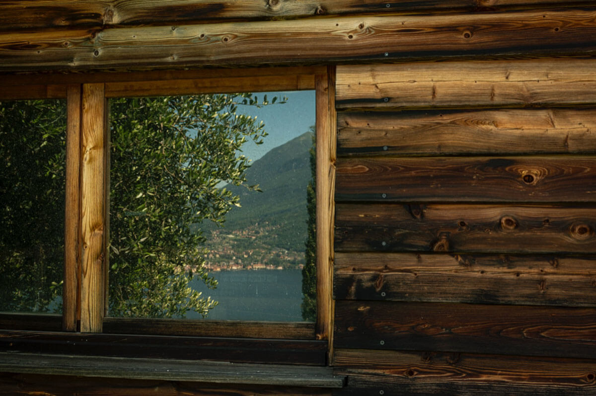 vista del lago di Como con ulivo